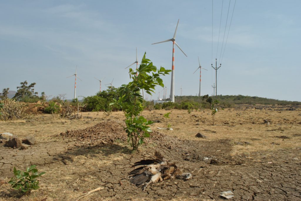 windmills